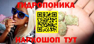 соль ск Славгород