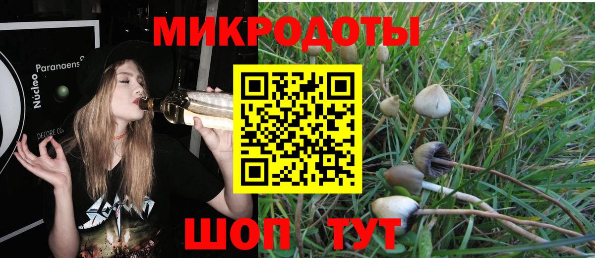 Галлюциногенные грибы мухоморы  что такое наркотик  Галлюциногенные грибы Cubensis  Электрогорск  Вход с VPN 